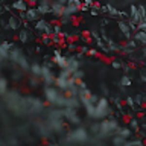 Meet your Posher, Chloe